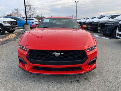 2024 Ford Mustang EcoBoost Fastback